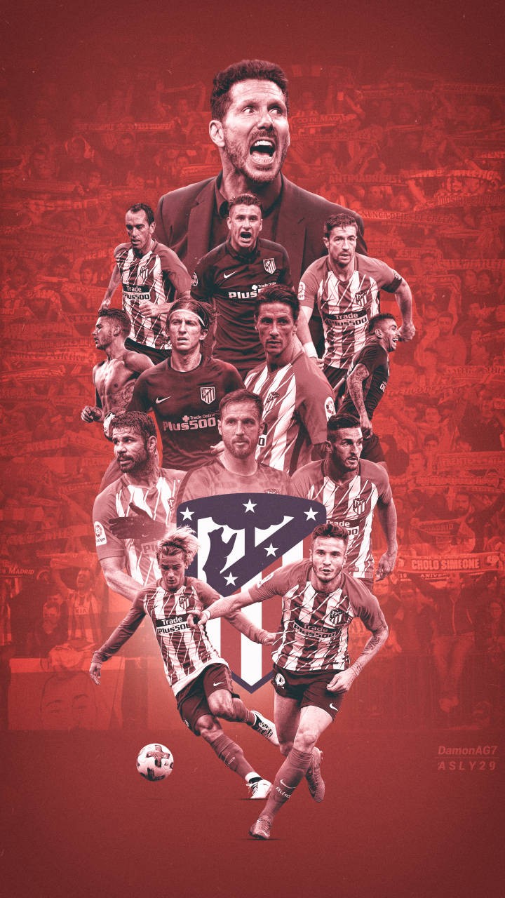 体育新闻早报速览